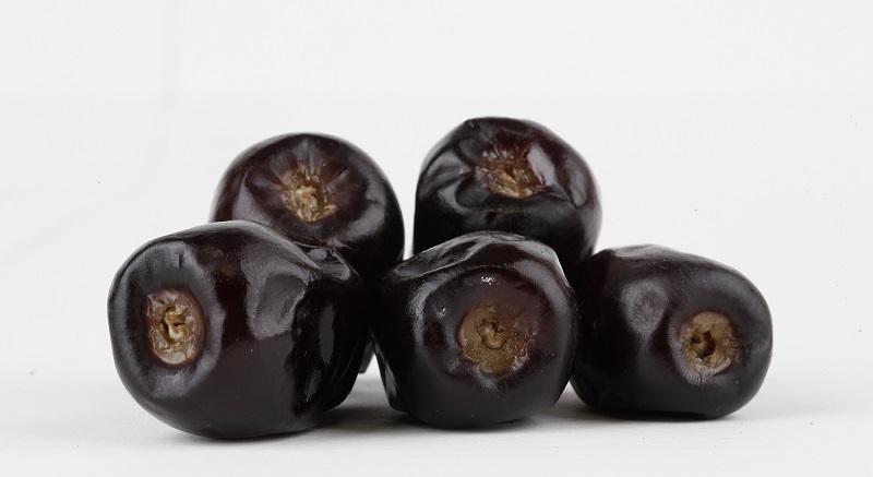 Kurma Rotab