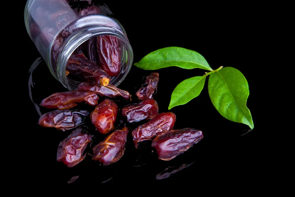 kurma harga